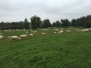 IMG-20170331-WA0002
