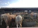 IMG-20170406-WA0002